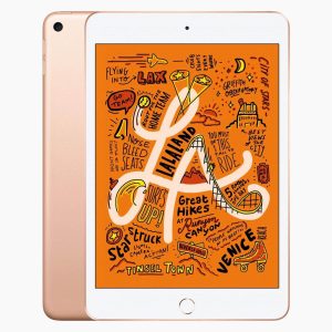 iPad Mini 5 256GB Gold Wifi Only - C-grade